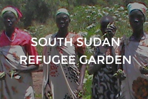 ECC-refugees-SS-garden