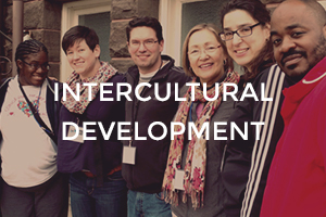 intercultural-development